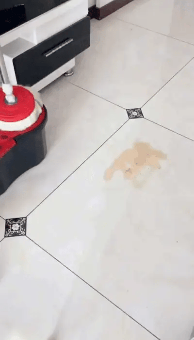 360 Spin Cleaning Mop My Store